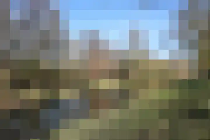 Wim Richtstraat 36 's-Hertogenbosch thumbnail 33