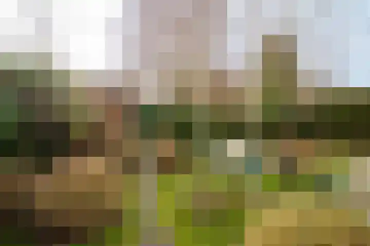 Wim Schuhmacherhof 9 Almere thumbnail 40