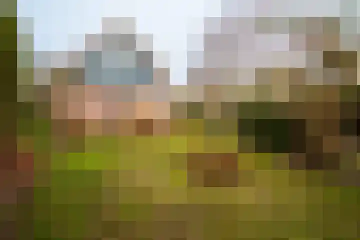 Wim Schuhmacherhof 9 Almere thumbnail 43