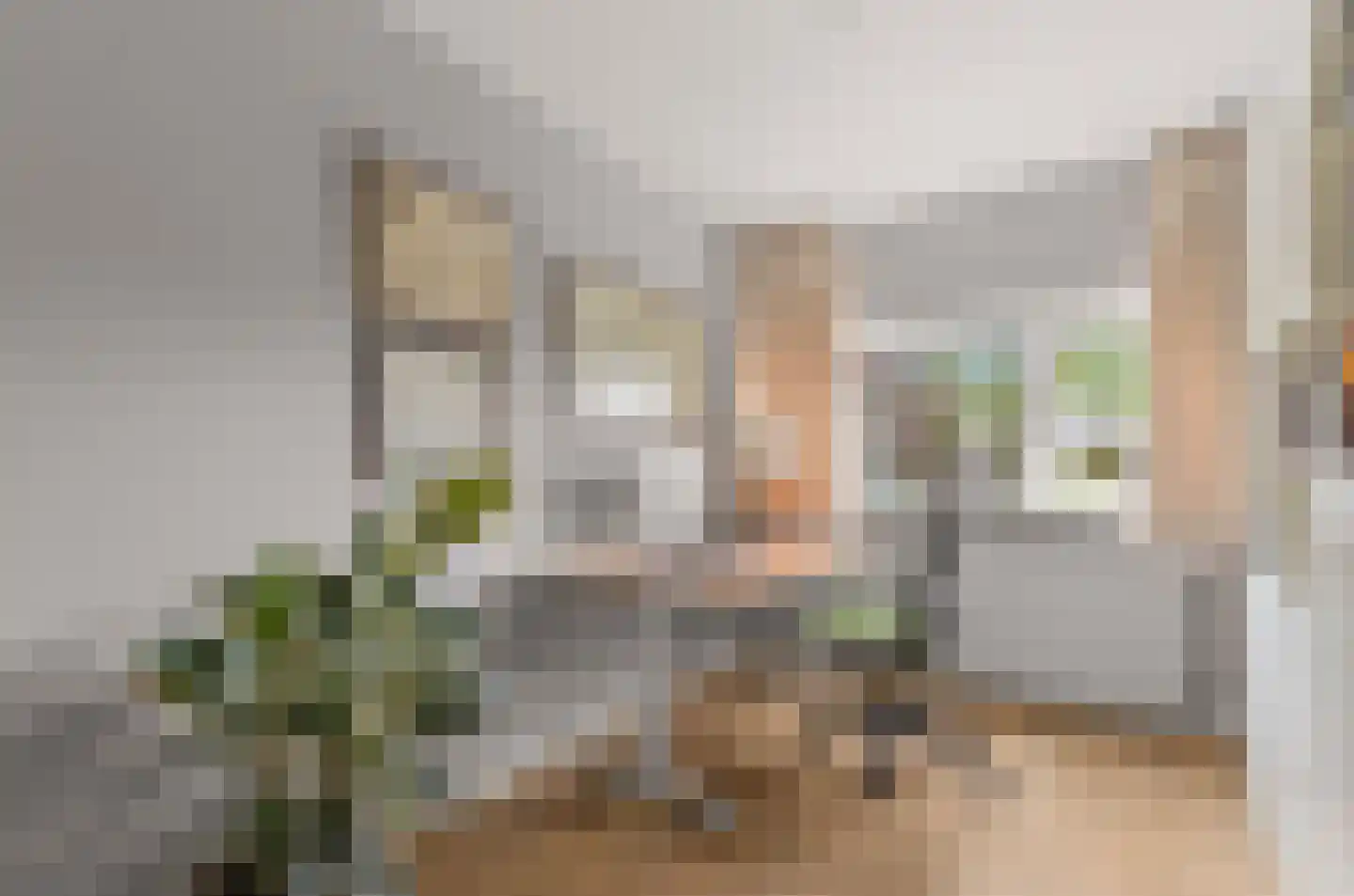 Wim Sonneveldlaan 145 Utrecht thumbnail 34