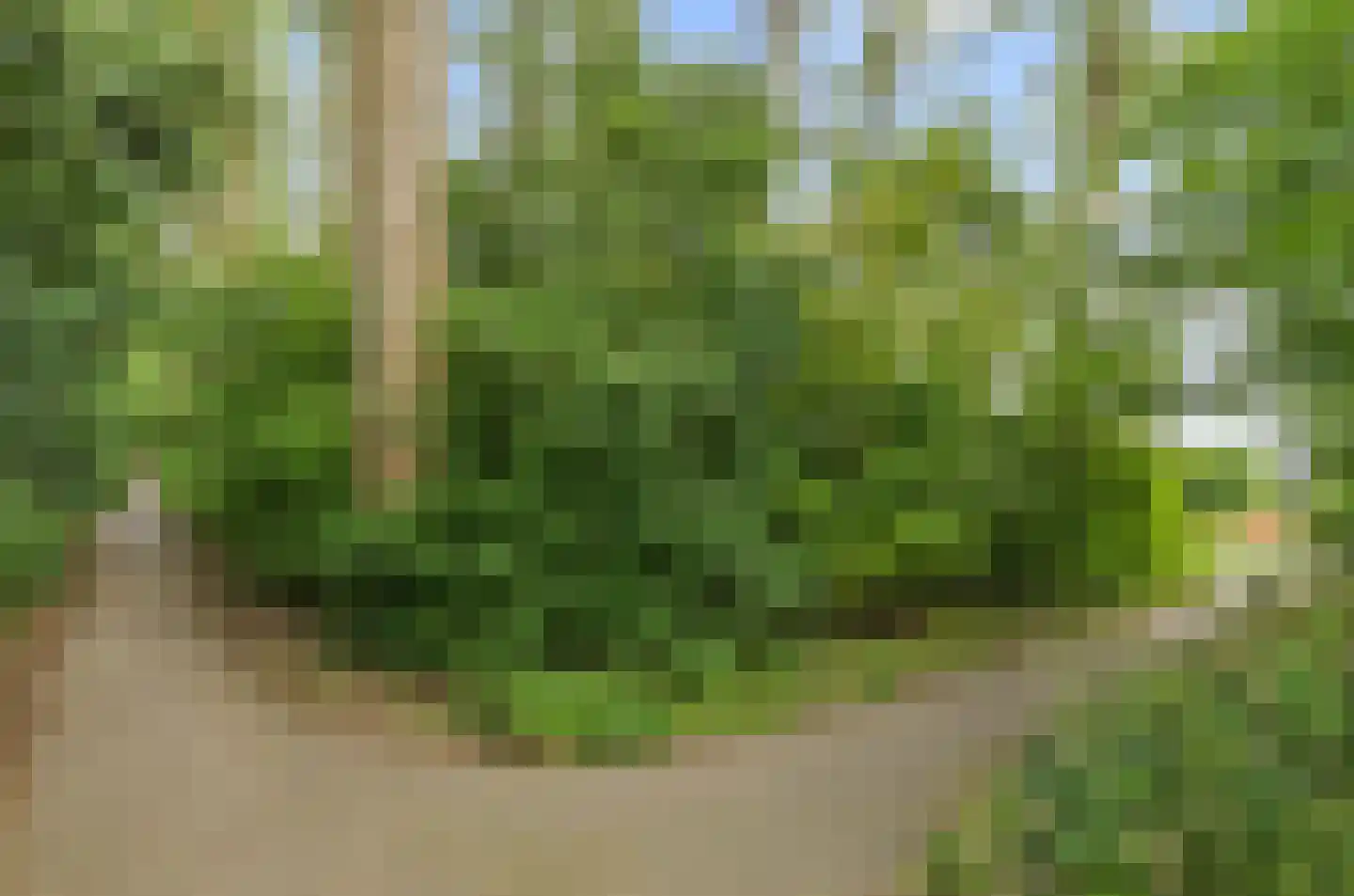 Wim Sonneveldlaan 145 Utrecht thumbnail 64