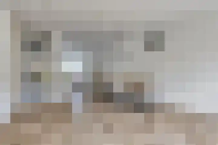 Wim Sonneveldlaan 17 Beverwijk thumbnail 10