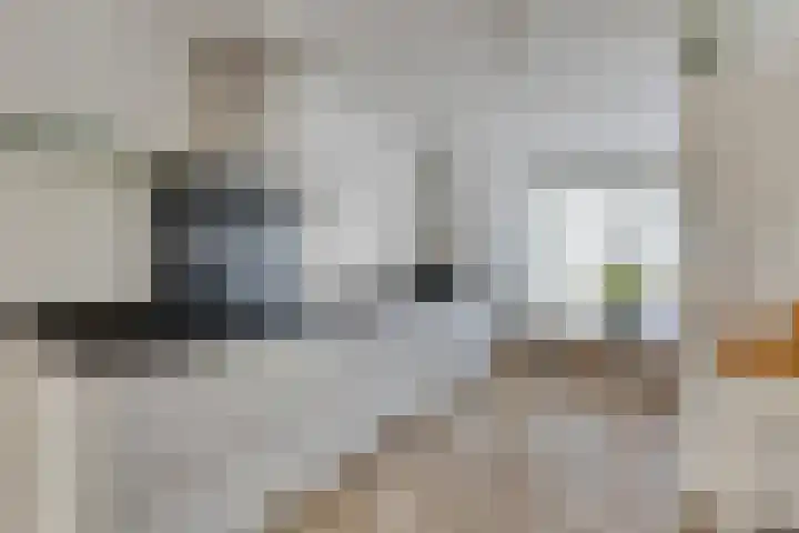 Wim Sonneveldlaan 17 Beverwijk thumbnail 12