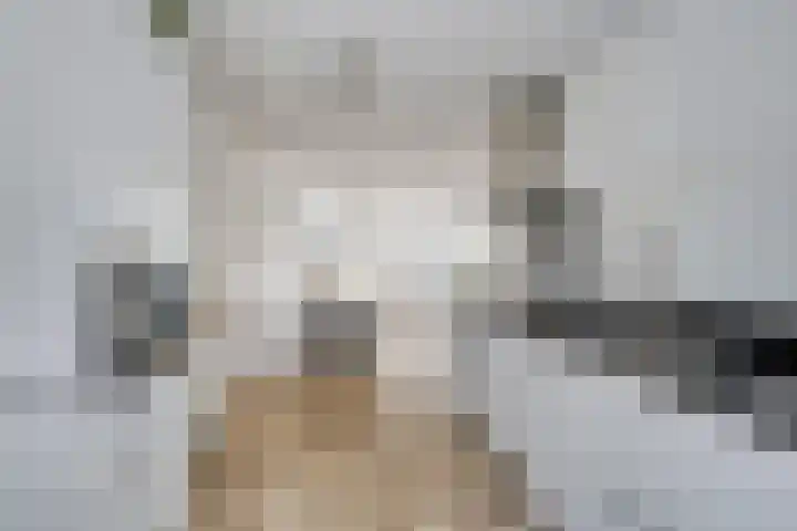 Wim Sonneveldlaan 17 Beverwijk thumbnail 14