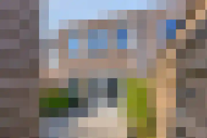 Wim Sonneveldlaan 17 Beverwijk thumbnail 24