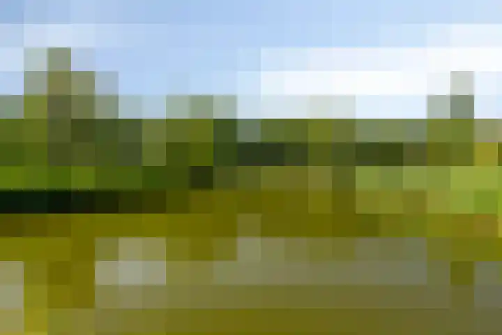 Wim Sonneveldlaan 17 Beverwijk thumbnail 30