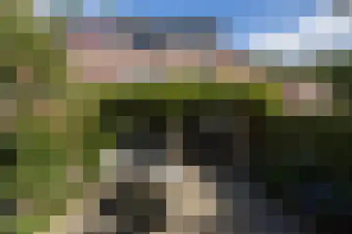 Wim Sonneveldlaan 211 Utrecht thumbnail 13