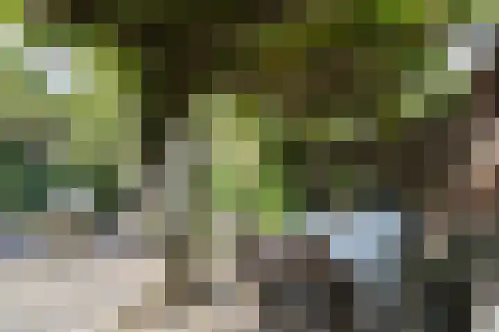 Wim Sonneveldlaan 211 Utrecht thumbnail 14