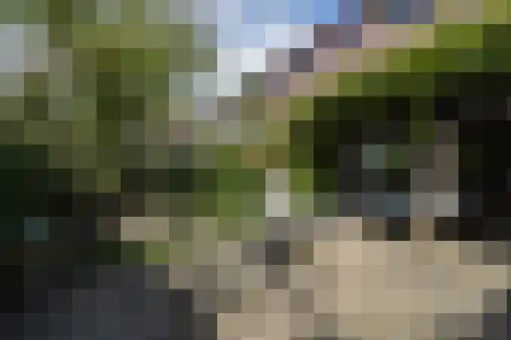 Wim Sonneveldlaan 211 Utrecht thumbnail 16