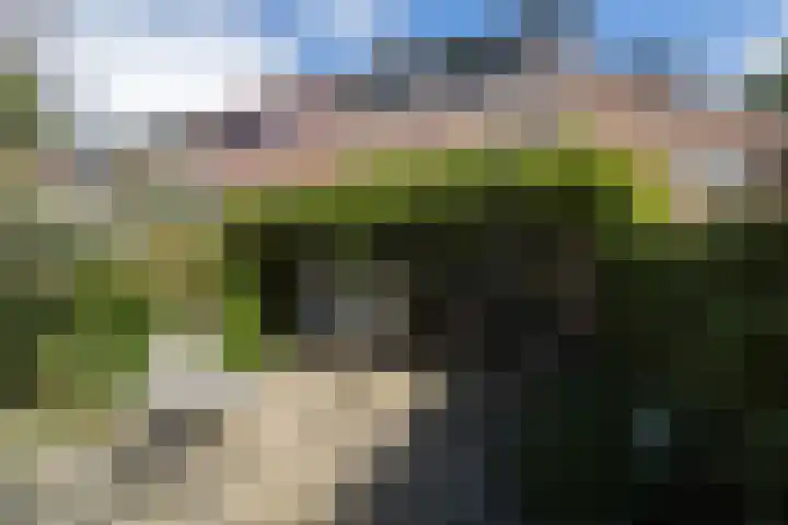 Wim Sonneveldlaan 211 Utrecht thumbnail 17