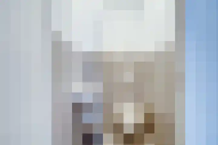 Wim Sonneveldlaan 211 Utrecht thumbnail 18