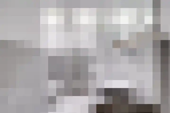 Wim Sonneveldlaan 211 Utrecht thumbnail 24