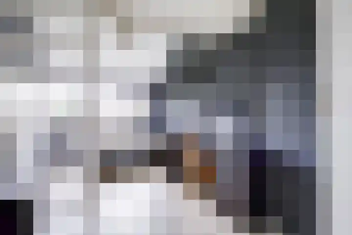 Wim Sonneveldlaan 211 Utrecht thumbnail 28