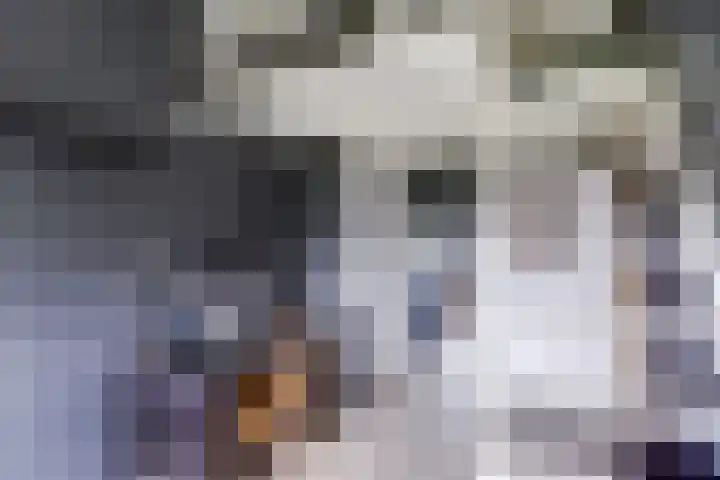 Wim Sonneveldlaan 211 Utrecht thumbnail 30