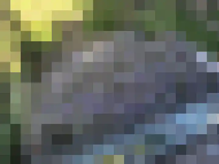 Wim Sonneveldlaan 211 Utrecht thumbnail 39