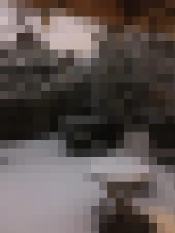 Wim Sonneveldlaan 211 Utrecht thumbnail 40