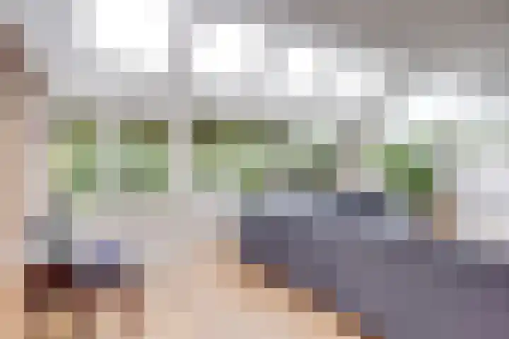 Wim Sonneveldlaan 211 Utrecht thumbnail 6