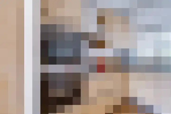 Wim Sonneveldlaan 211 Utrecht thumbnail 9