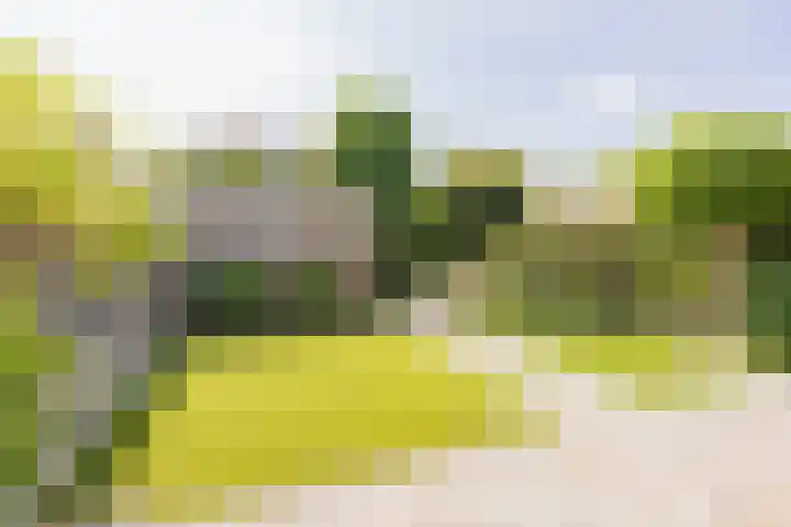 Wim Sonneveldlaan 22 Beverwijk thumbnail 21