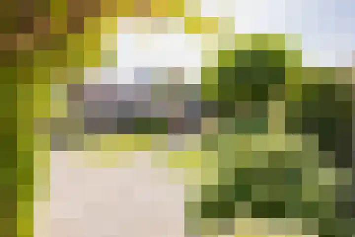 Wim Sonneveldlaan 22 Beverwijk thumbnail 23