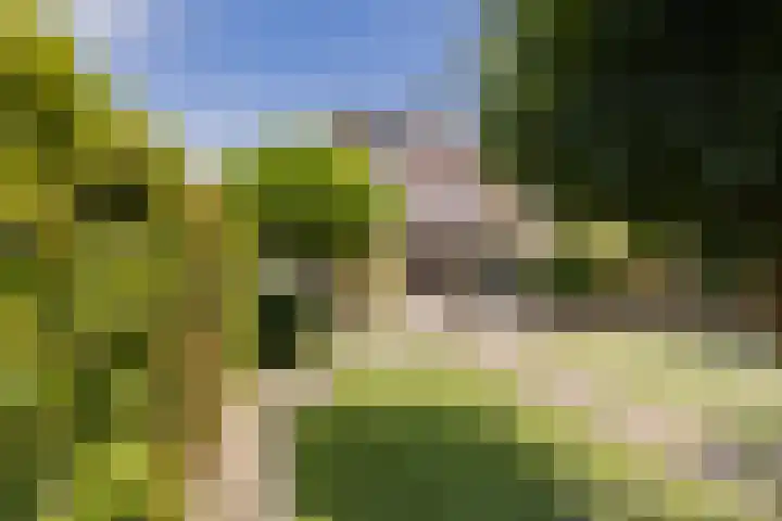 Wim Sonneveldlaan 22 Beverwijk thumbnail 25