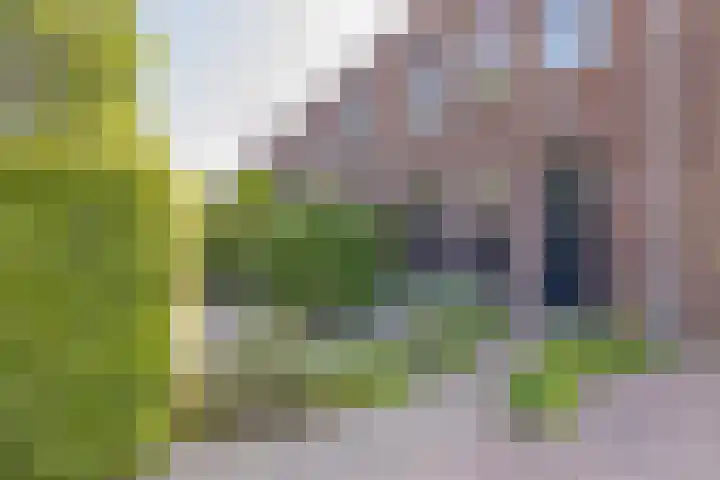 Wim Sonneveldlaan 22 Beverwijk thumbnail 4