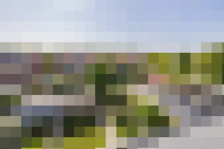 Wim Sonneveldlaan 22 Beverwijk thumbnail 44