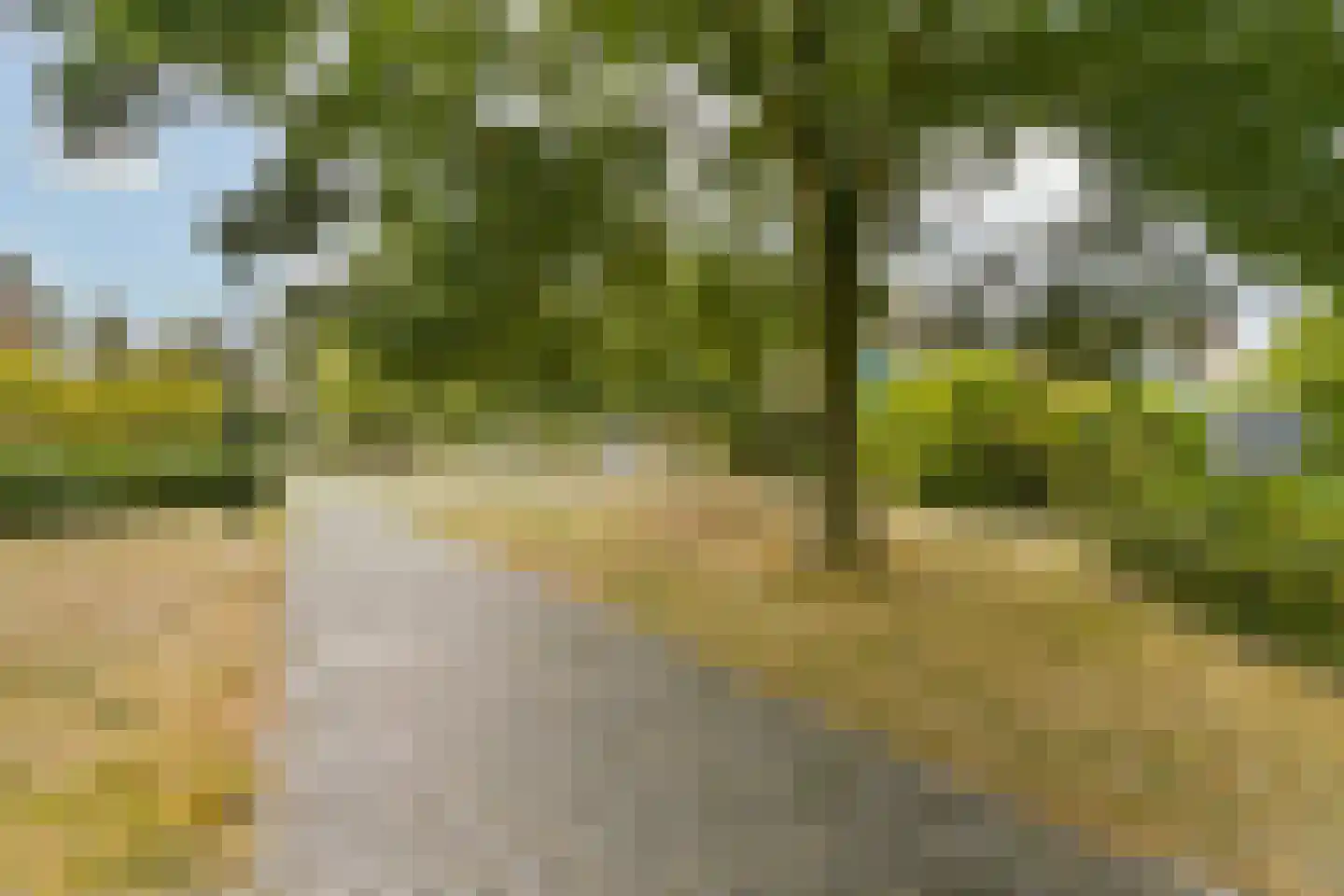 Wim Sonneveldlaan 48 Beverwijk thumbnail 23