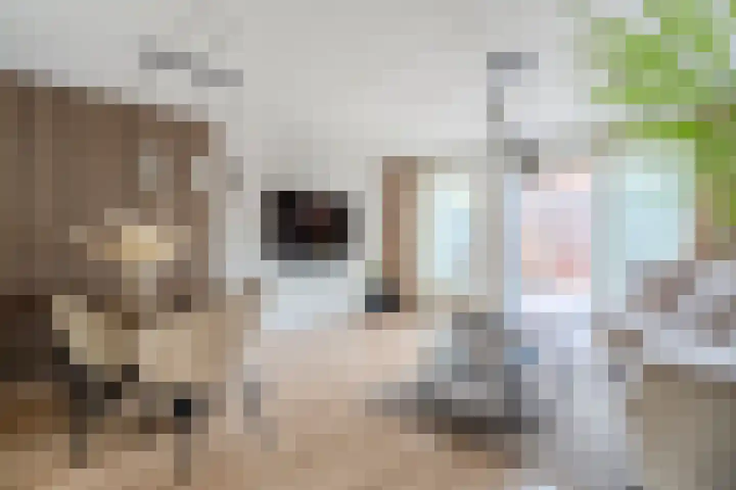 Wim Sonneveldlaan 7 Beverwijk thumbnail 6