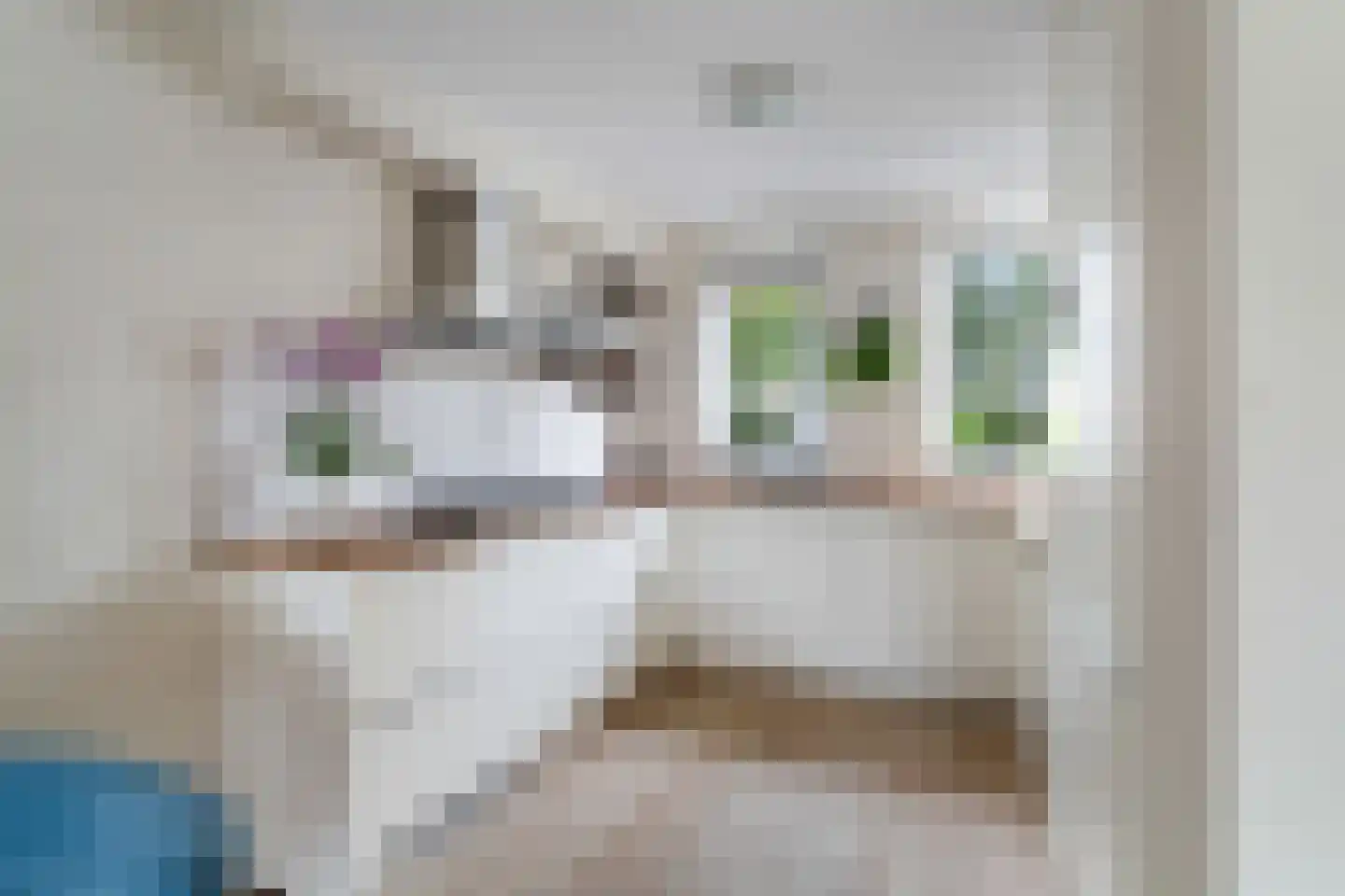 Wim Sonneveldplein 19 Den Haag thumbnail 16