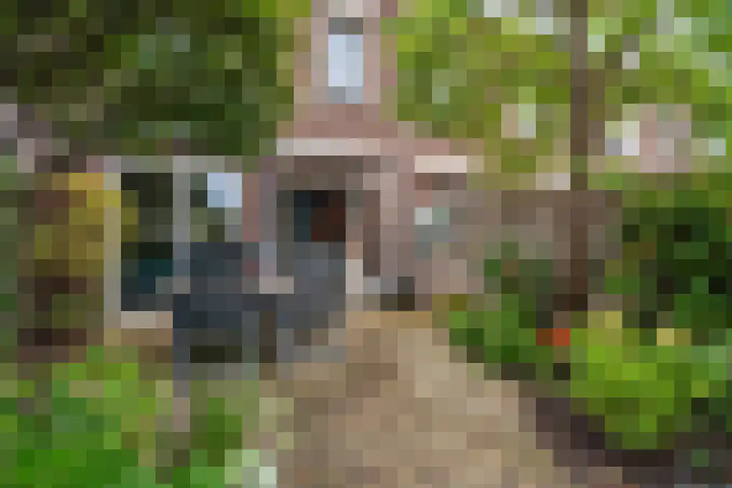 Wim Sonneveldplein 19 Den Haag thumbnail 26