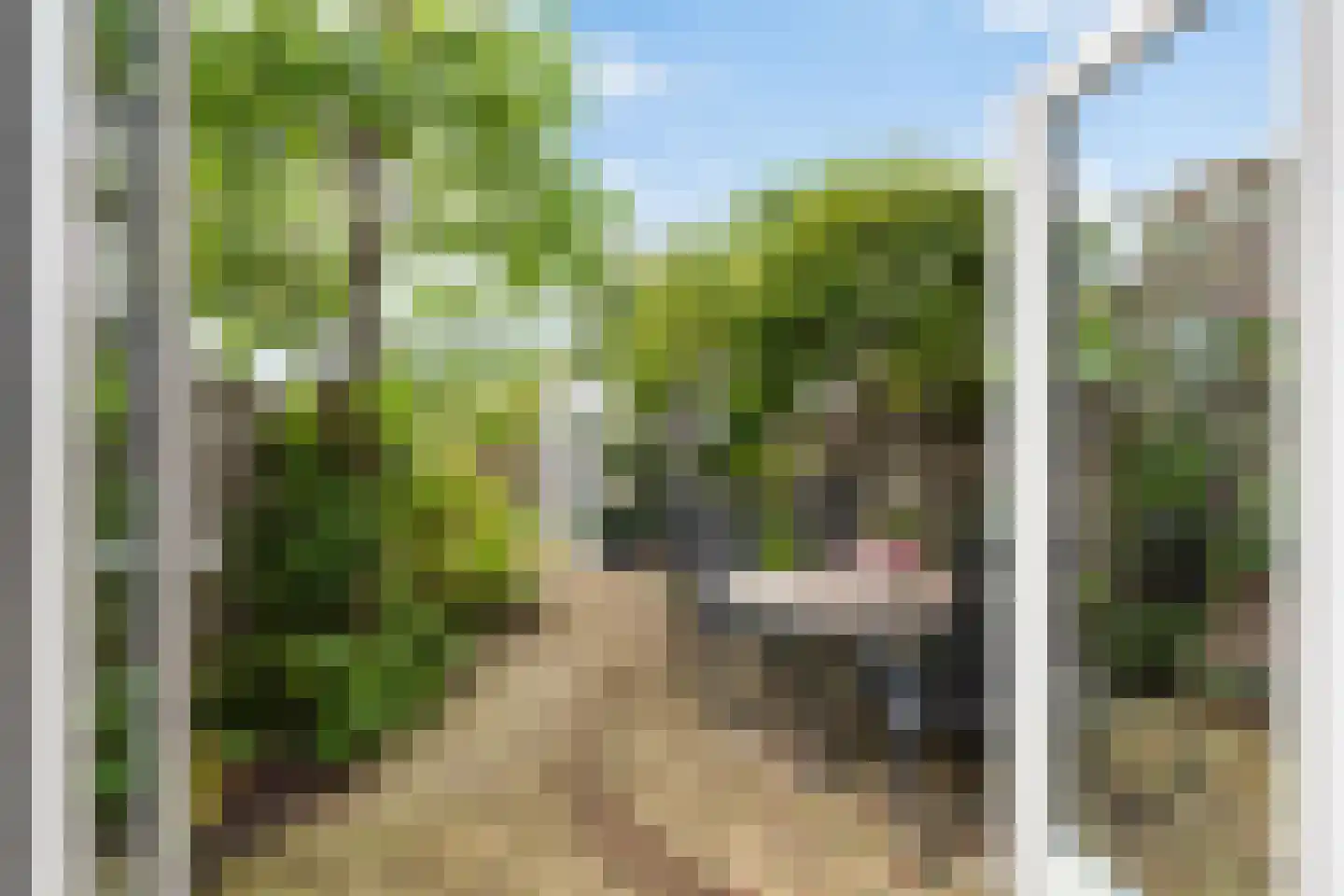 Wim Sonneveldplein 19 Den Haag thumbnail 5