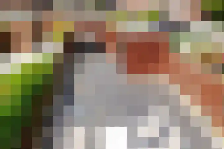 Wim Sonneveldplein 33 Den Haag thumbnail 36