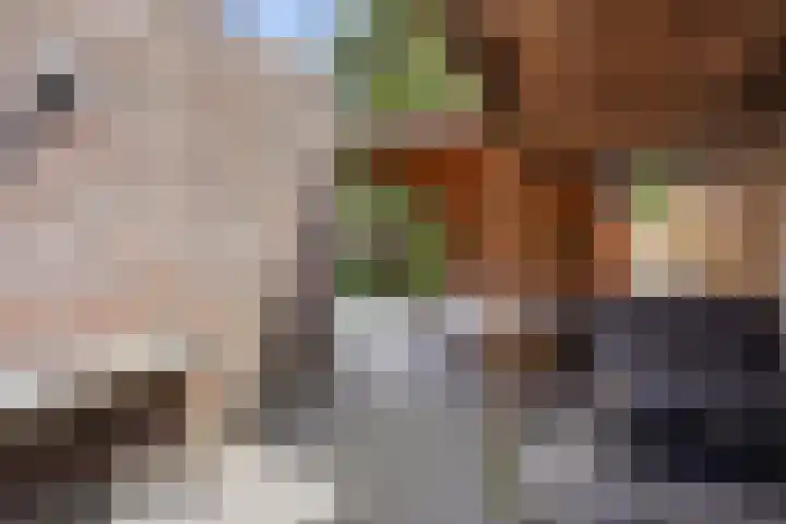 Wim Sonneveldplein 40 Den Haag thumbnail 17