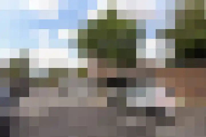 Wim Sonneveldplein 40 Den Haag thumbnail 37