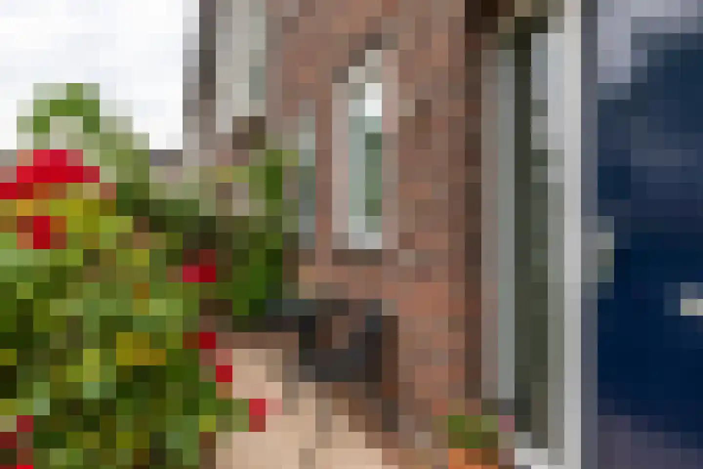 Wim Sonneveldplein 51 Den Haag thumbnail 26