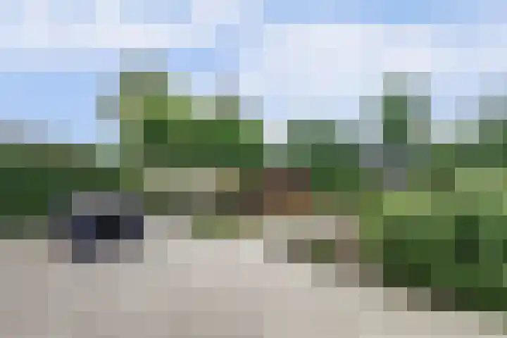Wim Sonneveldstraat 100 Waalwijk thumbnail 28