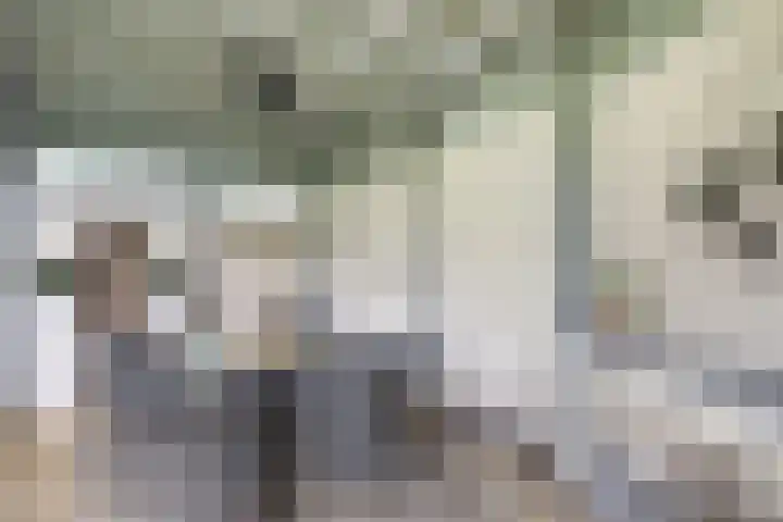 Wim Sonneveldstraat 100 Waalwijk thumbnail 34