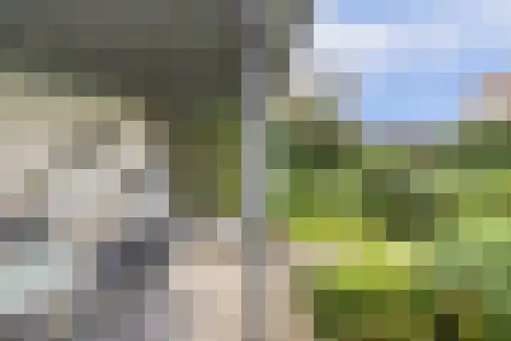 Wim Sonneveldstraat 100 Waalwijk thumbnail 35