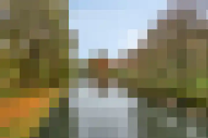 Wim Sonneveldstraat 11 Almere thumbnail 30