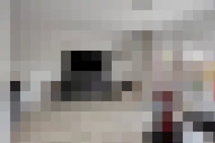 Wim Sonneveldstraat 11 Almere thumbnail 9