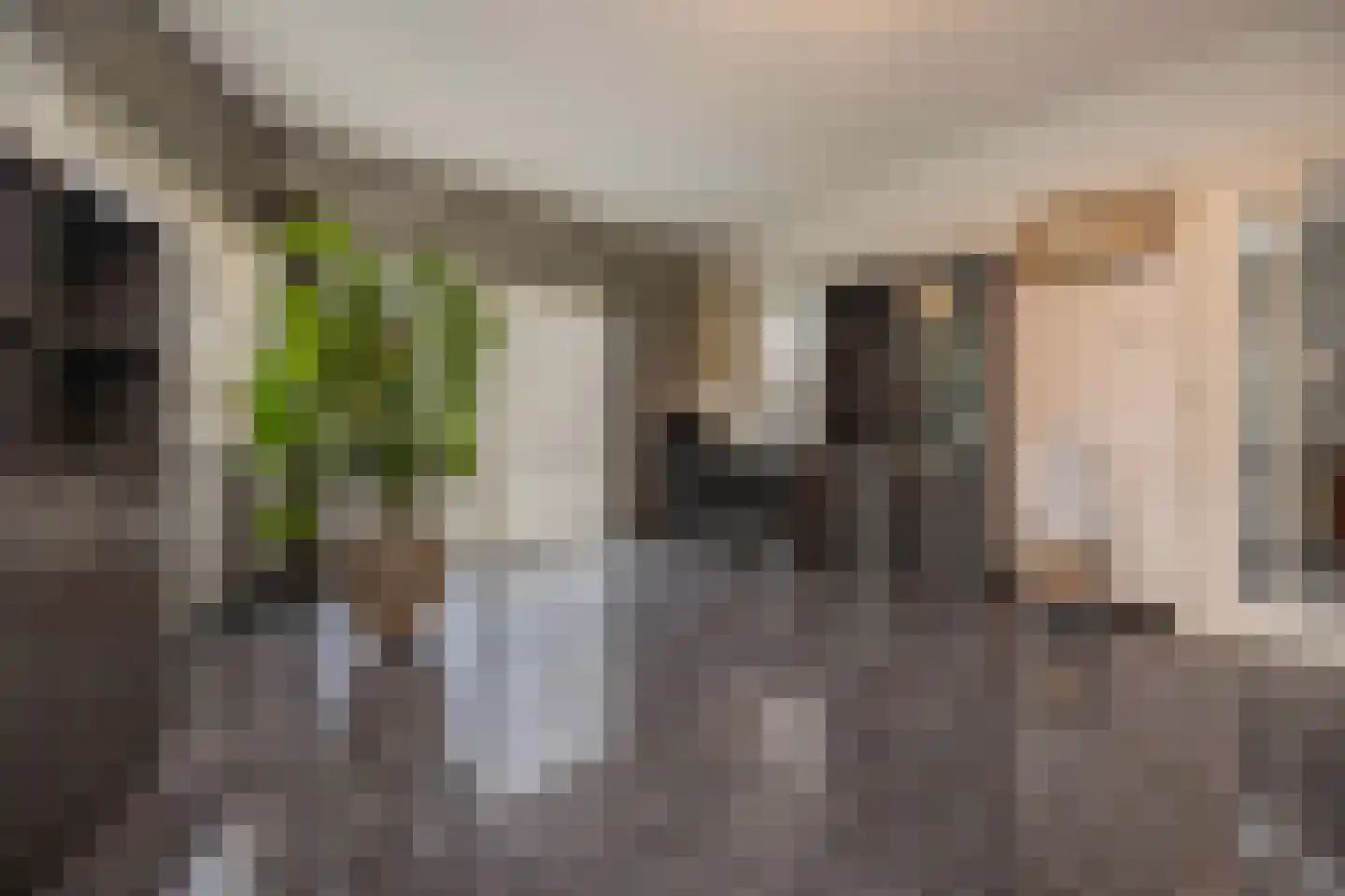 Wim Sonneveldstraat 11 Waalwijk thumbnail 13