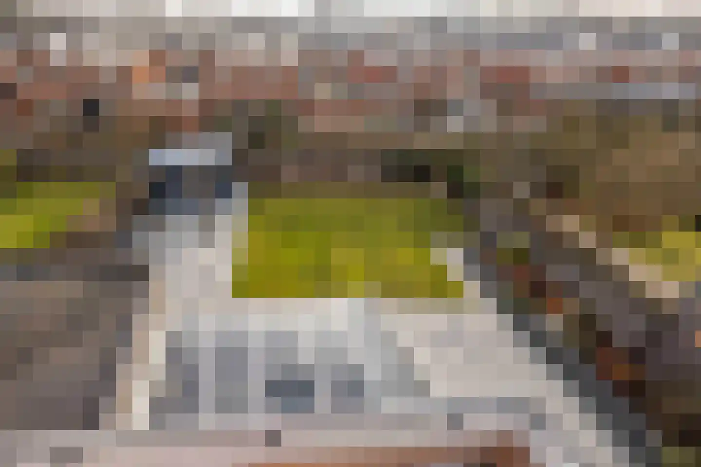 Wim Sonneveldstraat 11 Waalwijk thumbnail 22