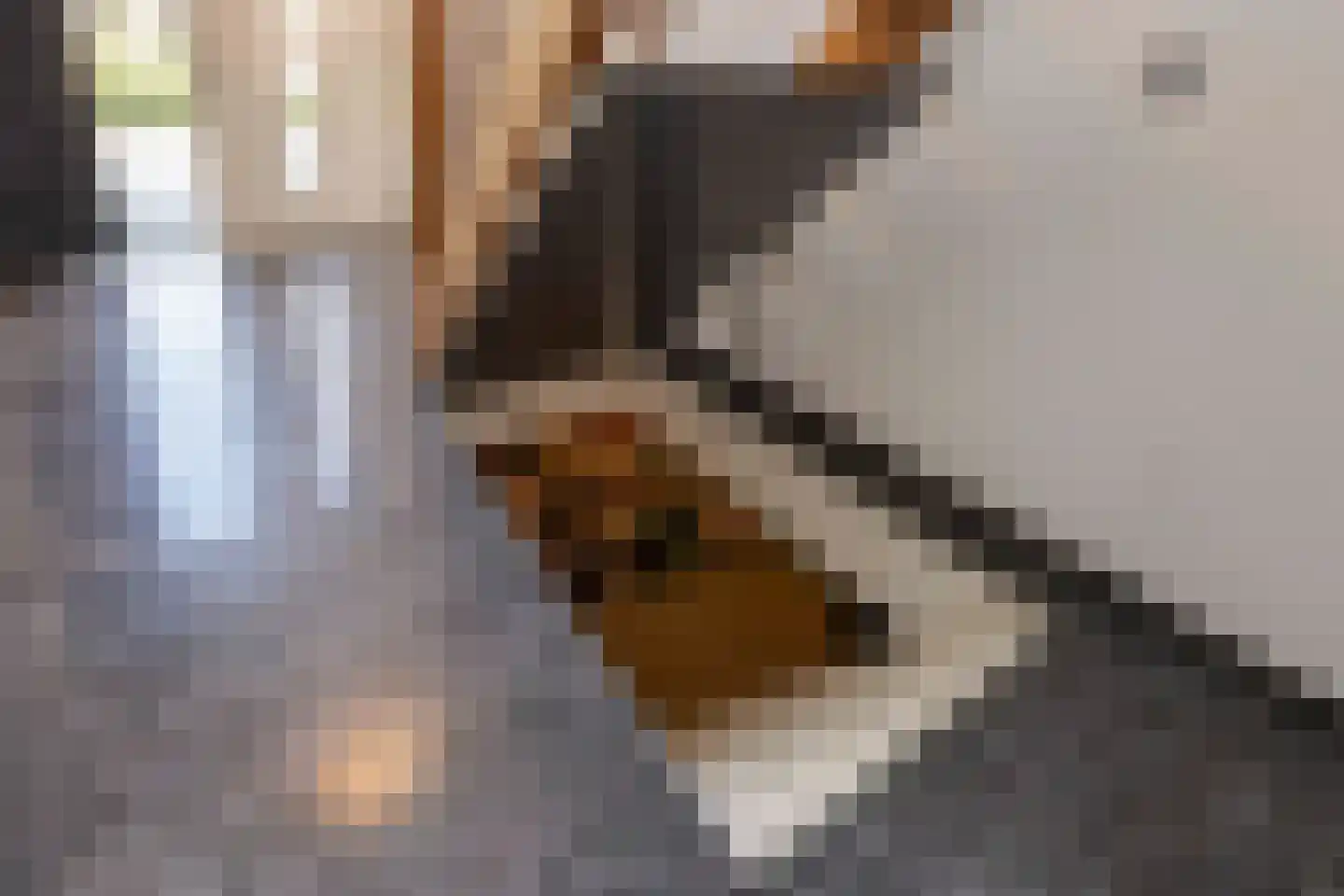 Wim Sonneveldstraat 11 Waalwijk thumbnail 25
