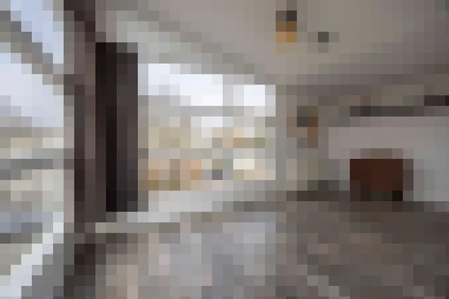 Wim Sonneveldstraat 11 Waalwijk thumbnail 32