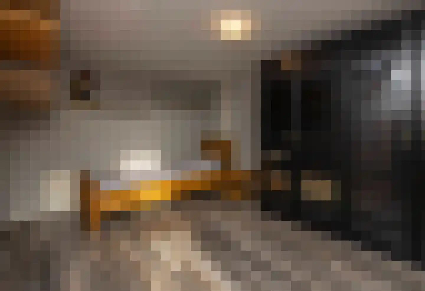 Wim Sonneveldstraat 11 Waalwijk thumbnail 41