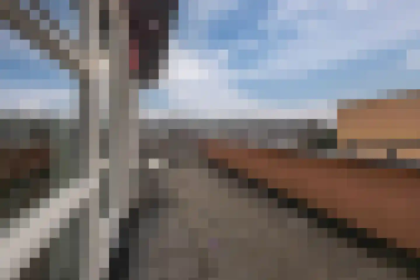 Wim Sonneveldstraat 11 Waalwijk thumbnail 43