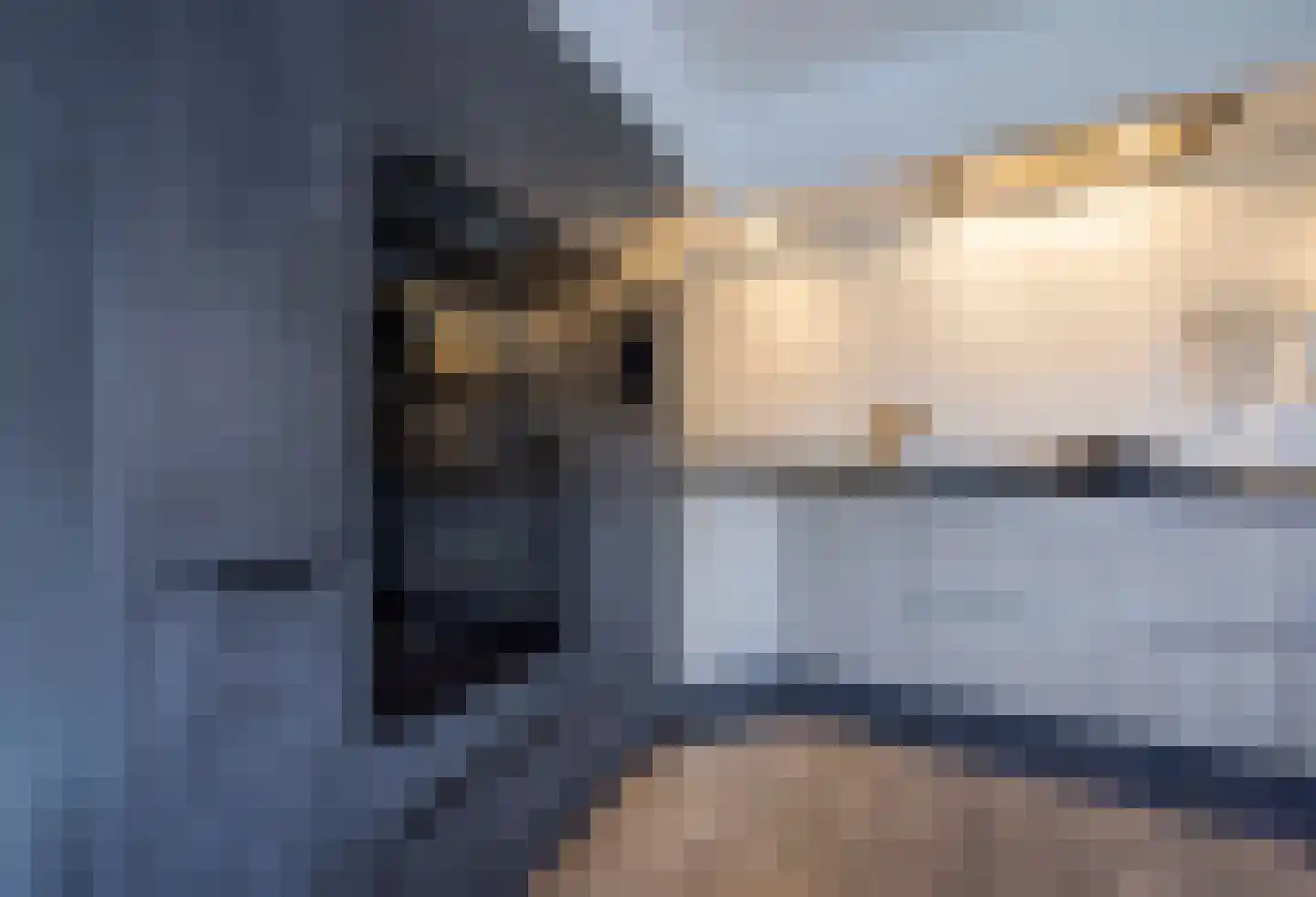 Wim Sonneveldstraat 11 Waalwijk thumbnail 7