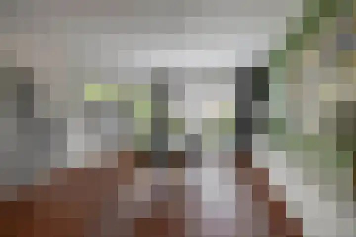 Wim Sonneveldstraat 17 Waalwijk thumbnail 10
