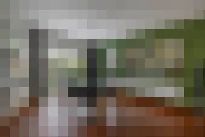 Wim Sonneveldstraat 17 Waalwijk thumbnail 11